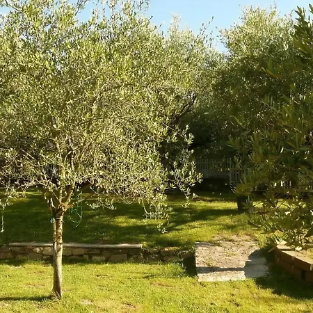 Am Gardasee Mit Grossem Pool Und Garten Костермано